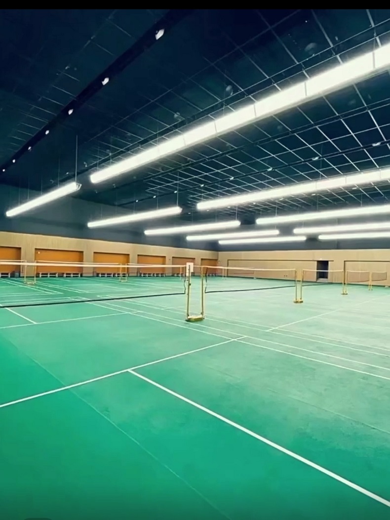 Yüksek CRI Petek Parlama Önley - Hall Table Tennis incelemesi ve fiyatı