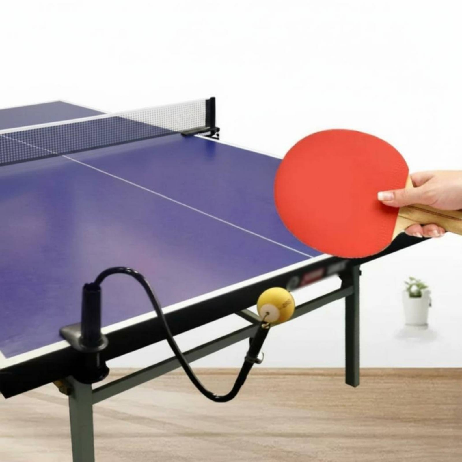 Masa Tenisi Solo Antrenman Yar - Table Tennis Youtube incelemesi ve fiyatı